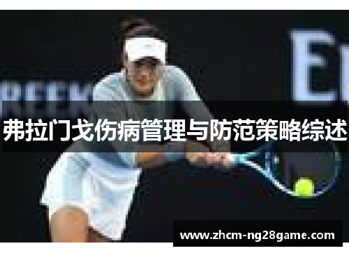 弗拉门戈伤病管理与防范策略综述