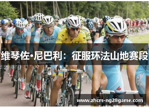 维琴佐·尼巴利:征服环法山地赛段 维琴佐·尼巴利:征服环法山地赛段